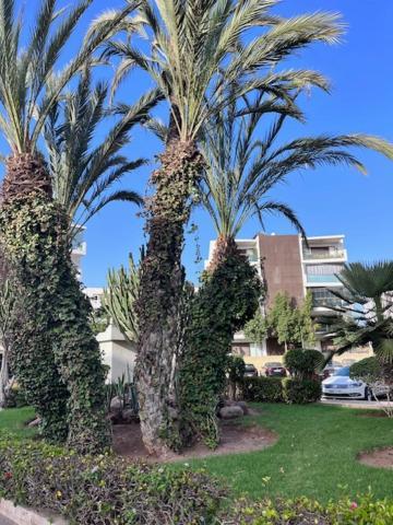 Appartement De Haut Standing En Residence Agadir Exterior foto