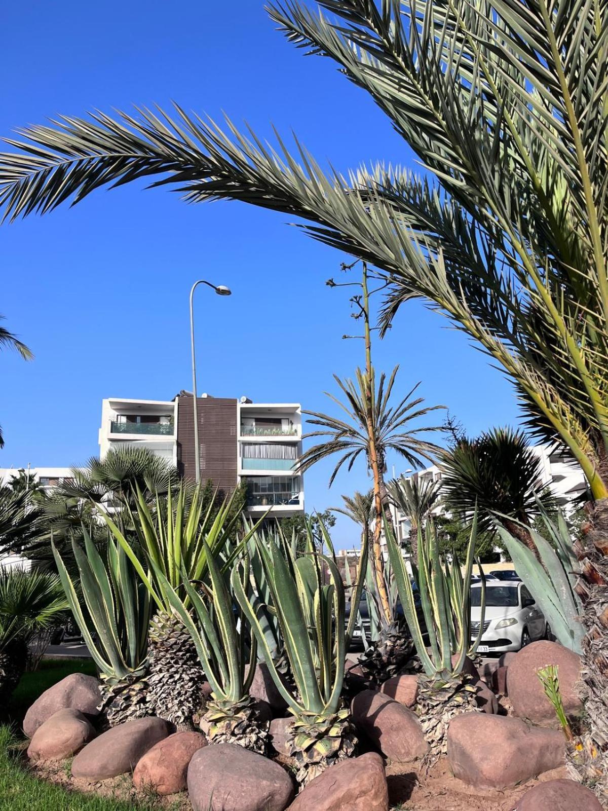 Appartement De Haut Standing En Residence Agadir Exterior foto